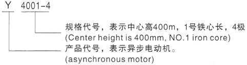 西安泰富西玛Y系列(H355-1000)高压YKK5001-8三相异步电机型号说明