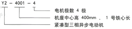 YR系列(H355-1000)高压YKK5001-8三相异步电机西安西玛电机型号说明